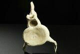 Fossil Plesiosaur (Zarafasaura) Cervical Vertebra - Morocco #268856-1